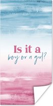 Poster Gender reveal - Boy or Girl - Jongetje of meisje - Roze - Blauw - Spreuken - 80x160 cm