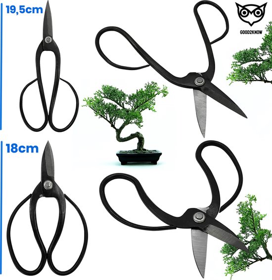 Good2know Set d' Outils pour bonsaï - 16 pièces - Kit de démarrage pour bonsaï - Kit d'entretien pour bonsaï - Outils de jardin
