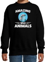 Sweater dolfijn - zwart - kinderen - amazing wild animals - cadeau trui dolfijn / dolfijnen liefhebber 5-6 jaar (110/116)