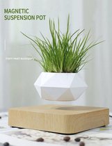 Zwevende bloempot  - Zwevende plant - Magnetisch - Bloempot voor binnen - Moderne decoratie - Lichtbruine bodem