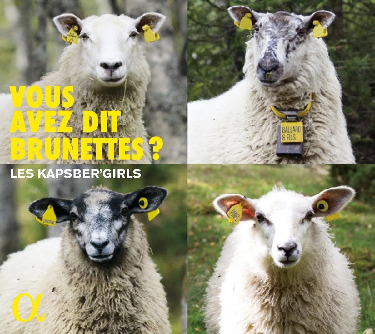 Les Kapsber'Girls - Vous Avez Dit Brunettes? (CD)
