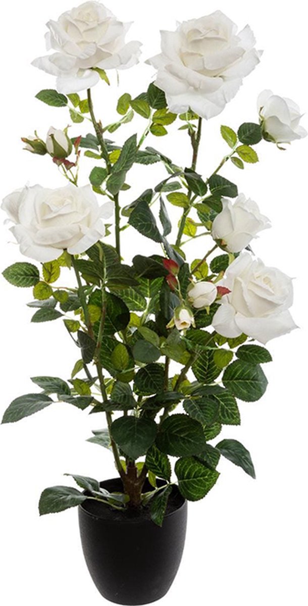 Decoratieve kunstmatige planten rozen fluweel 74 cm - Polyester|Ciment|Polyéthylène PE - Wit - SILUMEN