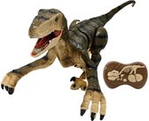 LEXIBOOK - RC Velociraptor - Simulatie met afstandsbediening Dinosaurus - Engels