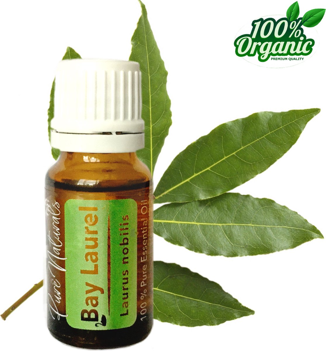Goedkoopste Laurier etherische Olie 10 ml | Bay Laurel Oil | 100 PUUR | Bio | Essentiële olie Aromatherapie | Olie diffuser | Geschikt voor inname | Pure Naturals