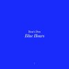 Bears Den - Blue Hours (CD)