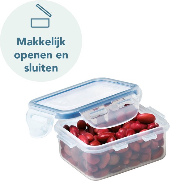 Boîtes de conservation transparentes avec fermeture bleue, une boîte remplie de pesto vert.