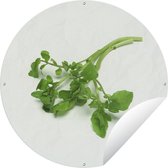 Cercle de jardin Cresson vert fond clair - 120x120 cm - Affiche de jardin ronde - Extérieur - XXL