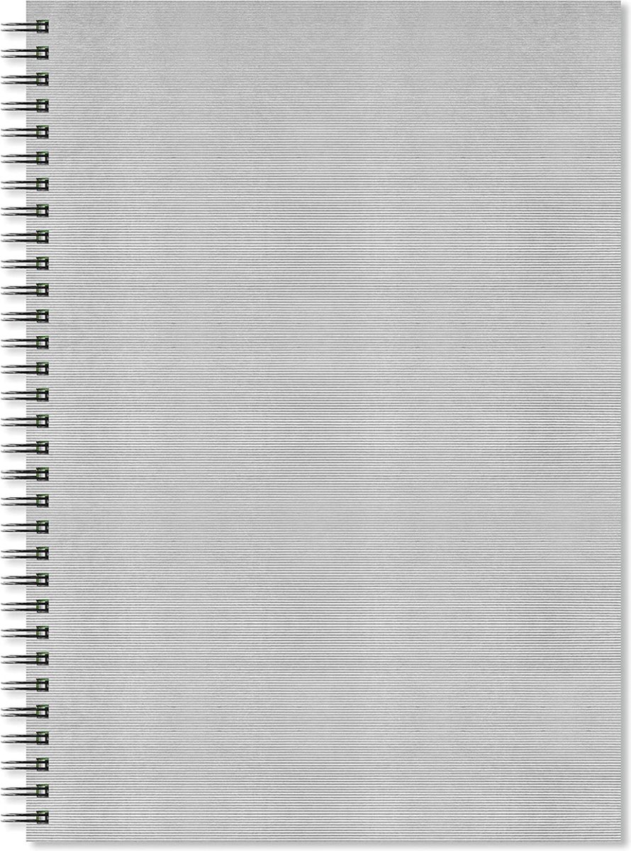 Artgecko schetsboek A3 spiraal zilveren omslag 150 gr 40 vel.