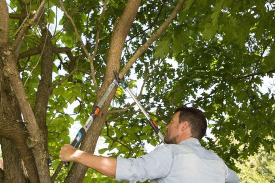 Telescopische bypass-boomschaar voor het snoeien van nieuw hout - ErgoTec handgrepen (12009-20) - 650-900 mm van GARDENA — afbeelding 3