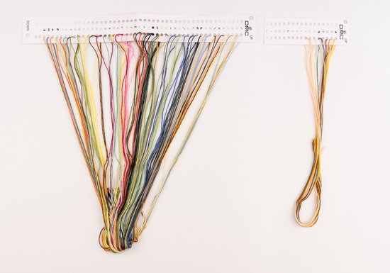 Thea Gouverneur - Kit point de croix avec grille - 577A - Fils DMC pré-triés - Fleurs sauvages - Aida - 20 cm x 26 cm - Kit DIY