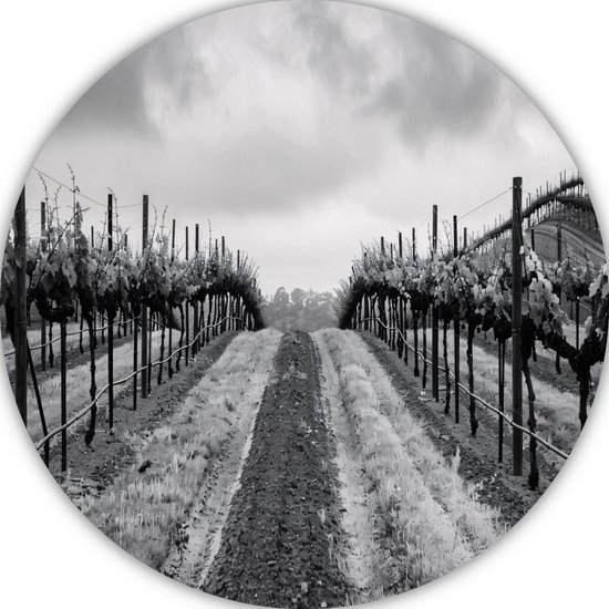 Cercle mural vignoble - Échelles murales paysage - Peinture autour de Luch - Peinture moderne - Cercle mural - Décoration murale chambre cercle mural aluminium 60x60 cm