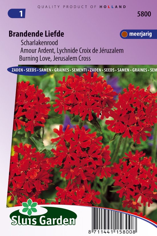 Sluis Garden - Brandende Liefde Scharlakenrood (Lychnis)