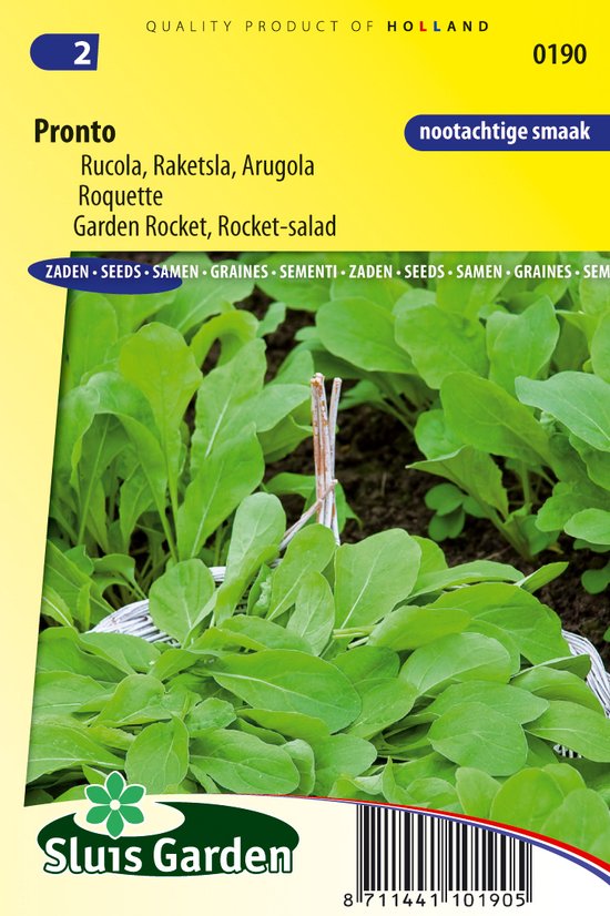Sluis Garden - Rucola Pronto (Eruca sativa)