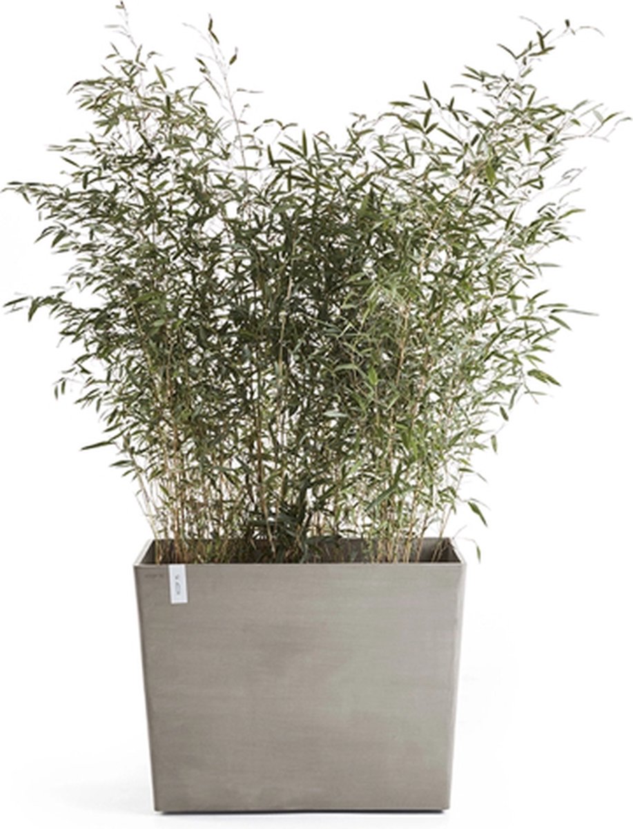 Ecopots Pot paris roulettes l85cm taupe