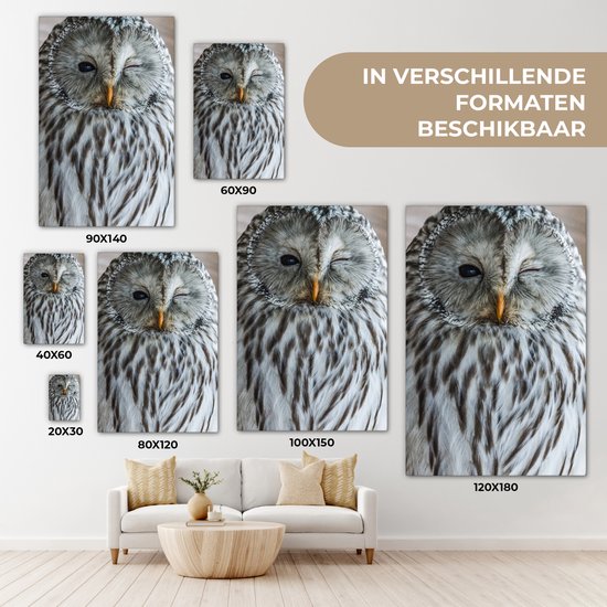 Peintures sur toile Hibou - Ressorts - Portrait - 90x140 cm - Décoration murale