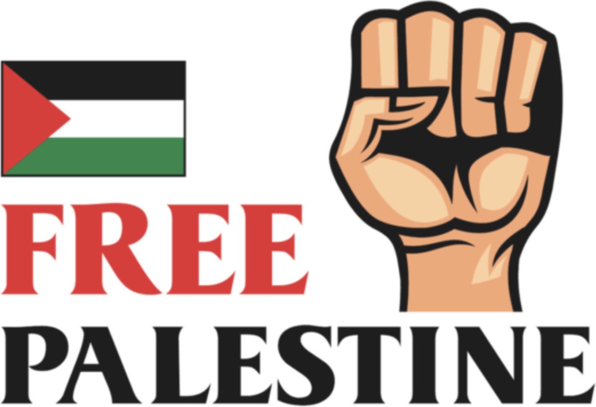 Akacha Lot De 10 X Autocollant Sticker Drapeau Palestine Palestinien Moto Voiture Vinyl