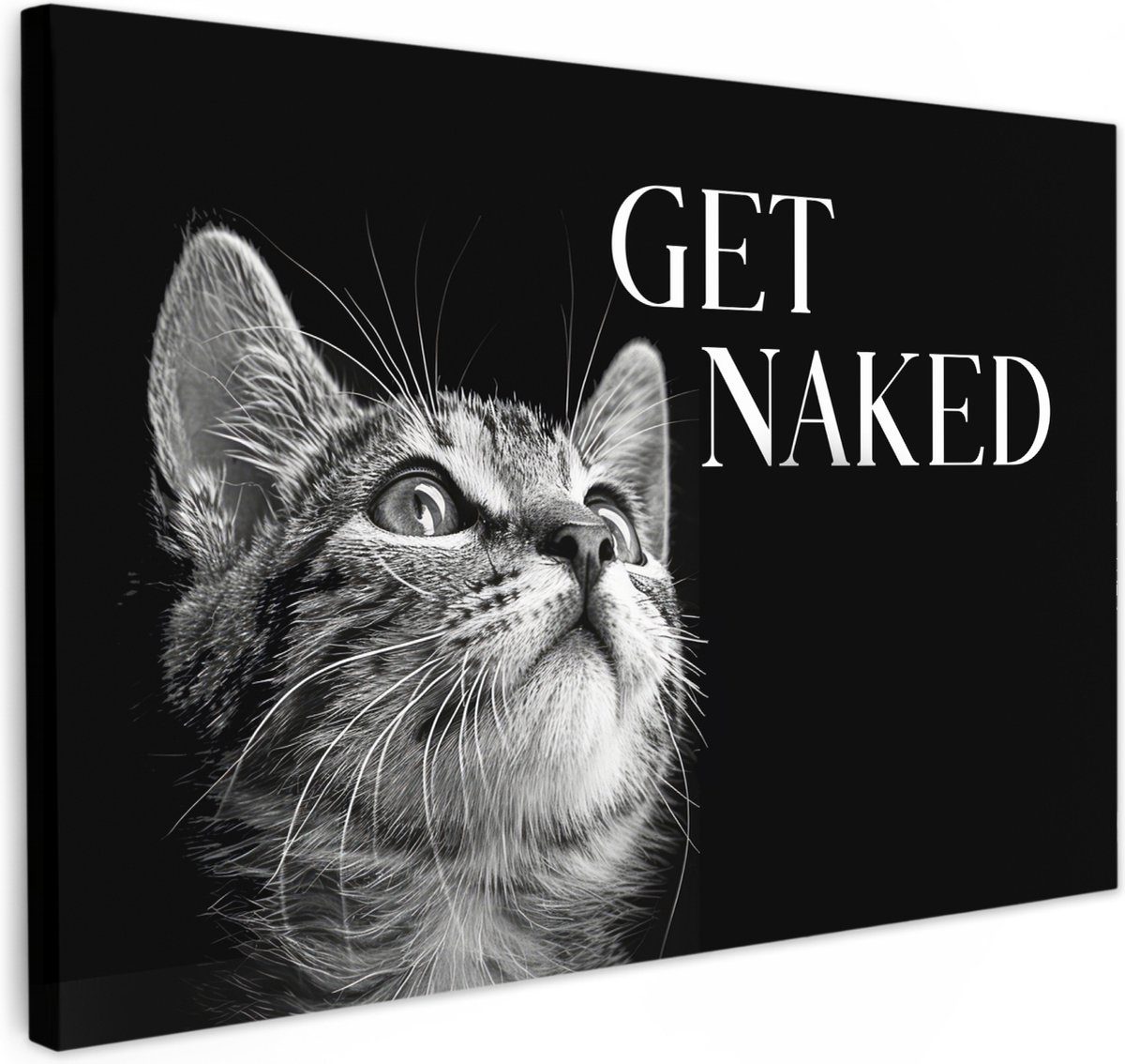 Canvas schilderij 90x60 cm - Wanddecoratie badkamer Kat - Dieren - quote - Get naked - Zwa