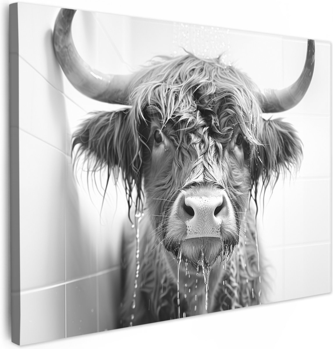 Canvas schilderij 70x50 cm - Wanddecoratie badkamer Schotse Hooglander - Dier - Douche - H