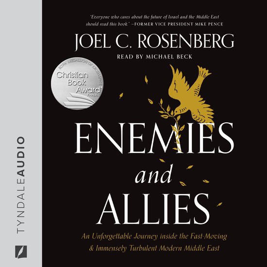 Enemies and Allies - cover