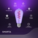 Paarse slimme lamp met spraakbesturing, 16 miljoen kleuren, dimbaar via app, plug & play, schema's & timers, scènes & automatisering, koud & warm licht.