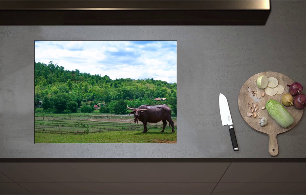 Inductieplaat Beschermer - Buffalo bij Groen Weiland aan de Rand van Bos - 70x51 cm - 2 mm Dik - Inductie Beschermer - Bescherming Inductiekookplaat - Kookplaat Beschermer van Zwart Vinyl