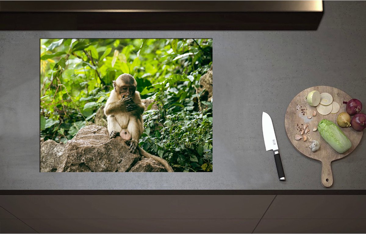 Inductieplaat Beschermer - Bruine Makaak Aap op Rots in Groene Omgeving - 71x55 cm - 2 mm Dik - Inductie Beschermer - Bescherming Inductiekookplaat - Kookplaat Beschermer van Zwart Vinyl