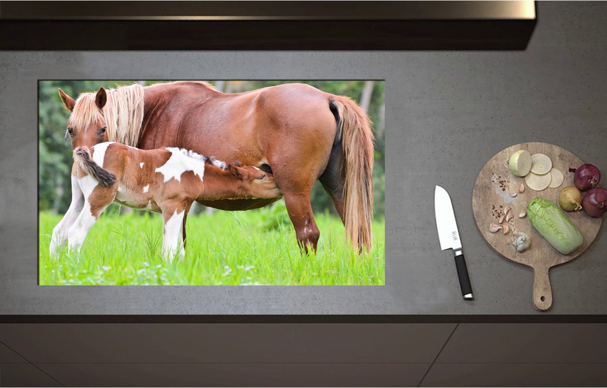 Inductieplaat Beschermer - Bruin met Wit Gevlekt Veulentje Drinkend bij Moeder in het Grasveld - 85x51 cm - 2 mm Dik - Inductie Beschermer - Bescherming Inductiekookplaat - Kookplaat Beschermer van Wit Vinyl