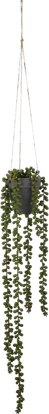 Mica Decorations Senecio Plante Artificielle Suspendue - H56 x Ø9 cm - Vert