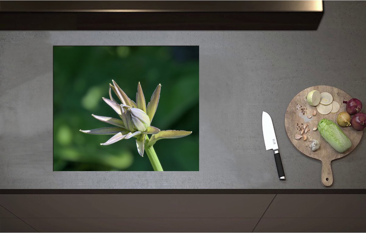 Inductieplaat Beschermer - Close Up van Paars met Groene Hosta Bloem - 60x52 cm - 2 mm Dik - Inductie Beschermer - Bescherming Inductiekookplaat - Kookplaat Beschermer van Zwart Vinyl