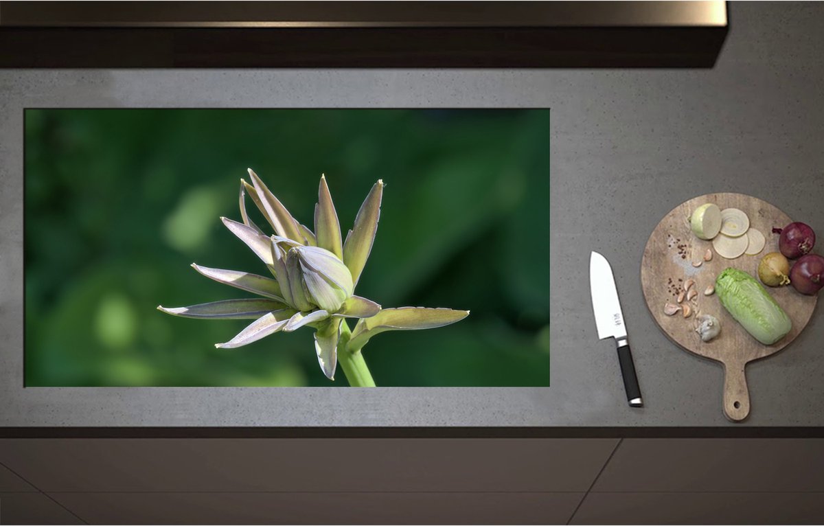 Inductieplaat Beschermer - Close Up van Paars met Groene Hosta Bloem - 95x51 cm - 2 mm Dik - Inductie Beschermer - Bescherming Inductiekookplaat - Kookplaat Beschermer van Zwart Vinyl