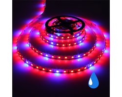 Grow light led strip - Rood/Blauw - IP65 - 5:1 - 5 meter