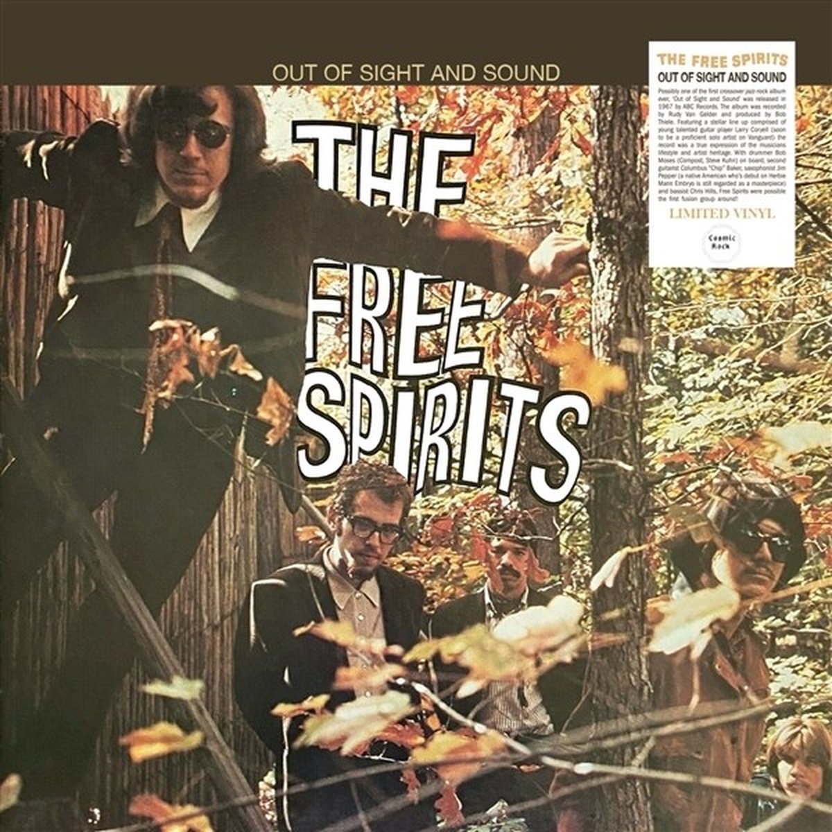 Free Spirits - Out Of Sight And Sound (LP)