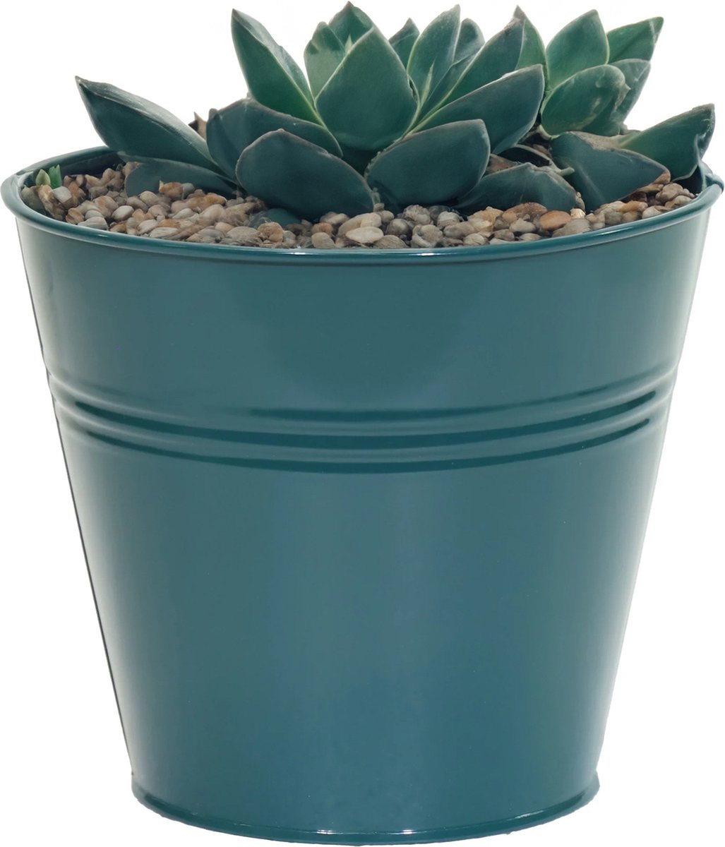 Goedkoopste Mega Collections plantenpot/bloempot Bob - zink - zeegroen - D13 X H12 cm