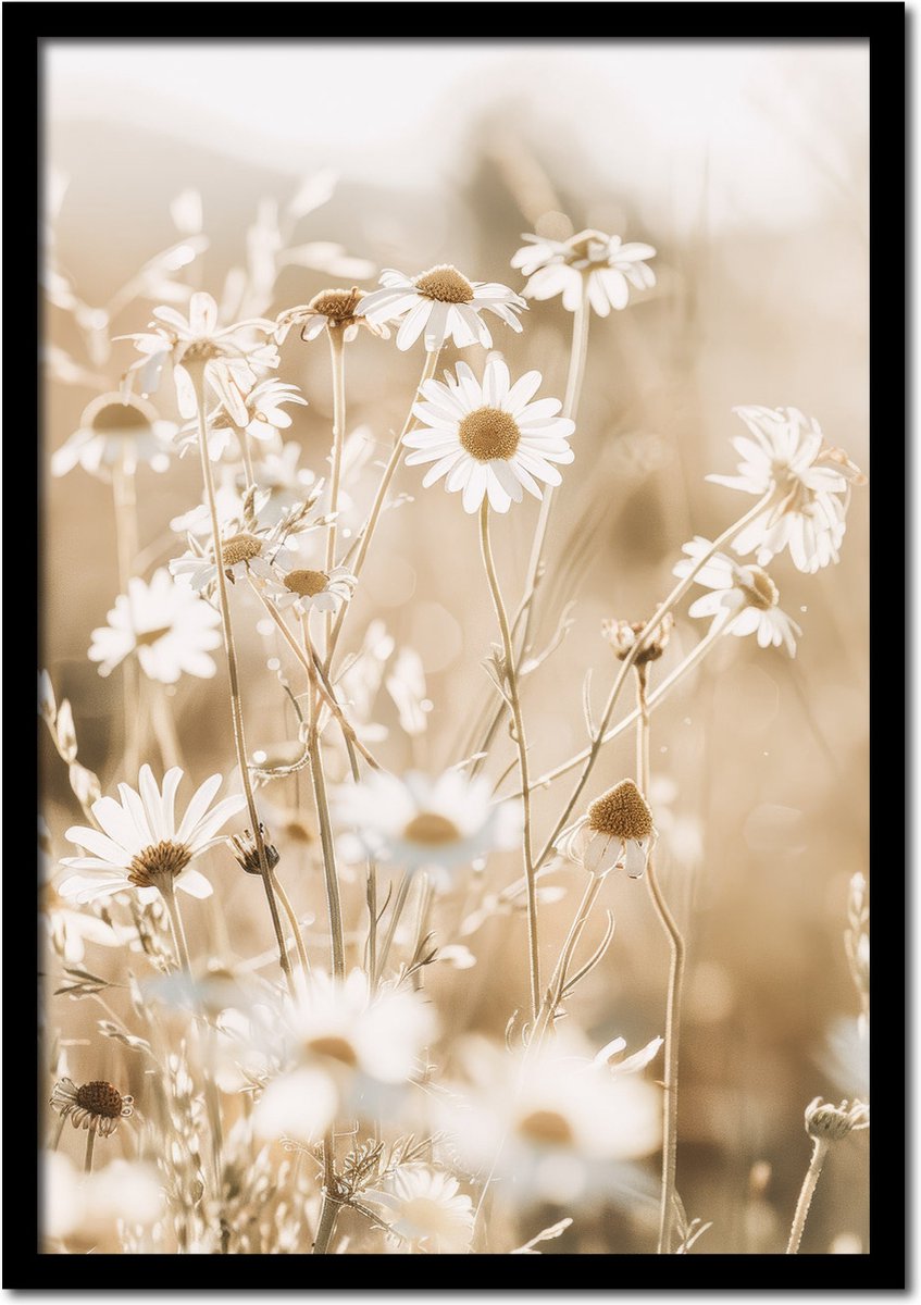 Plakkers Poster van witte margrietjes - 30cm x 40cm - vintage - woonkamer - slaapkamer - bloemen posters - goedkoop - muurposter - natuur - wanddecoratie Full-colour