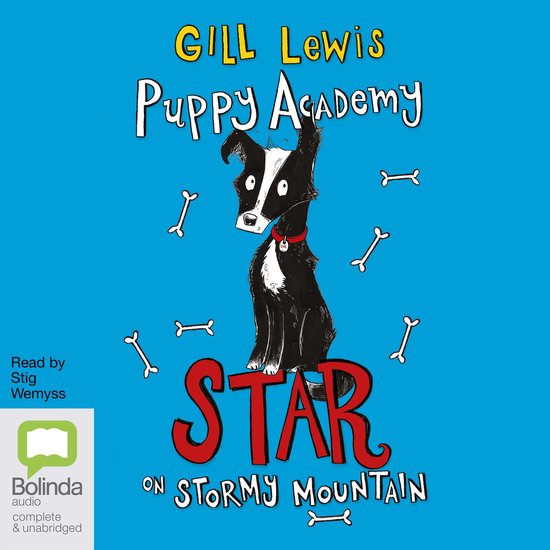 Star on Stormy Mountain - cover