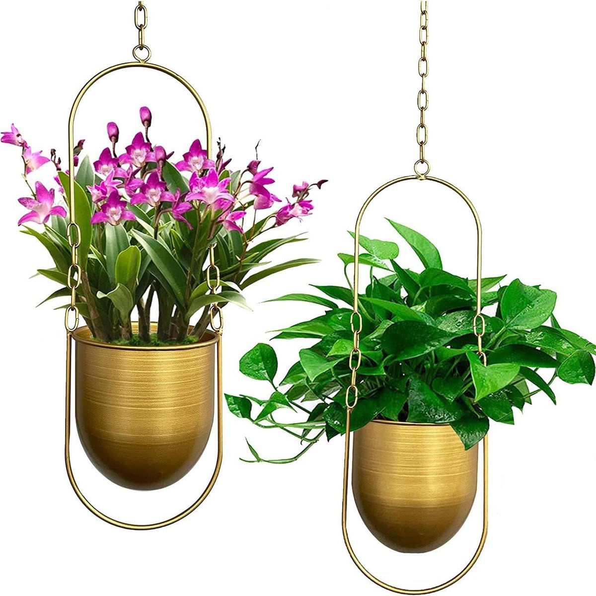 Hangende plantenhangers set van 2 moderne boho plantenbakken wand- en plafondplanten bloempothouder voor vetplanten kruiden & kleine planten luchtplanten goud