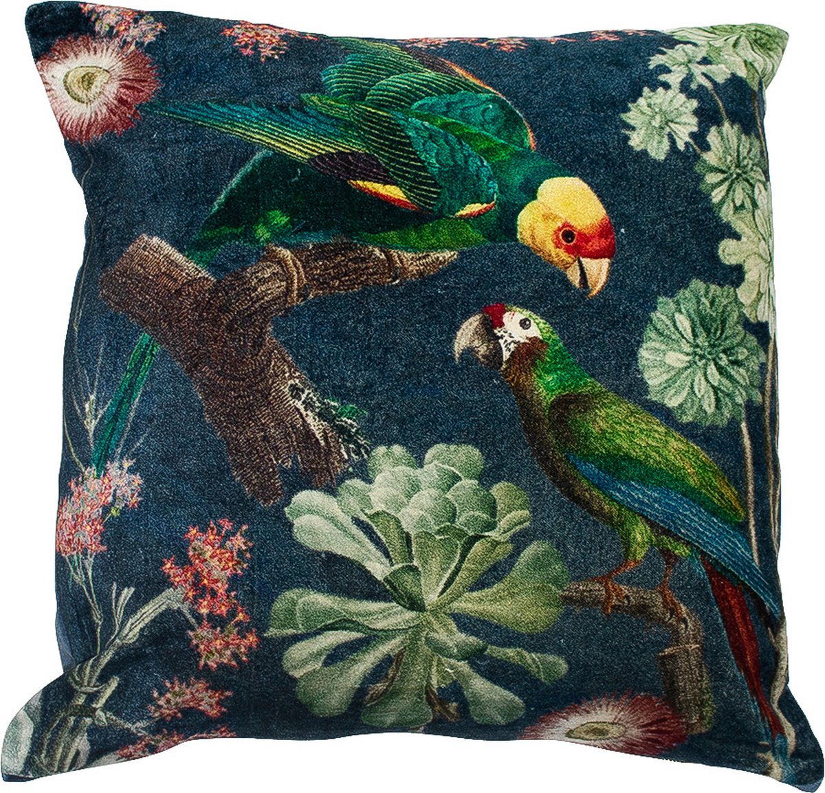 Mars & More kussen fluweel charming papegaaien groen blauw 45x45cm* Multi