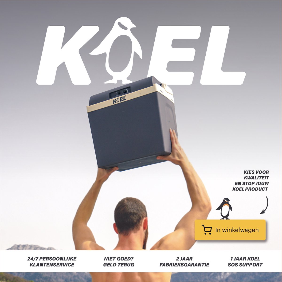 Koel Boks 25L - Koelbox Elektrisch 12V en 220V/230 Volt - Camping Koelkast voor Auto - Coolbox - Frigobox tot -19°C — afbeelding 6