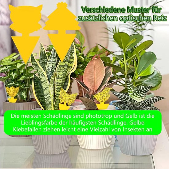 Vliegenvallen kopen? - Groot assortiment