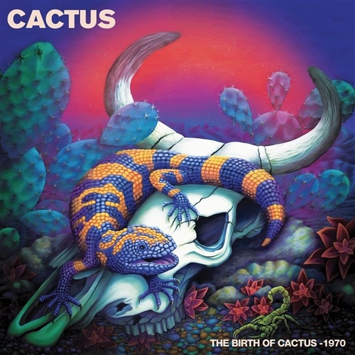 Cactus - The Birth Of Cactus:1970 (LP) (Coloured Vinyl)