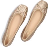 Inuovo A92018 Ballerina's Dames - Goud - Maat 40