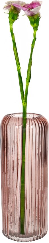 Bellatio Design Bloemenvaas - oudroze - tansparant glas - D10 x H25 cm - vaas