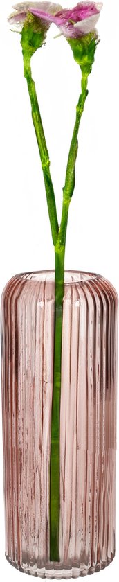 Vase à fleurs Bellatio Design - vieux rose - verre transparent - D10 x H25 cm - vase