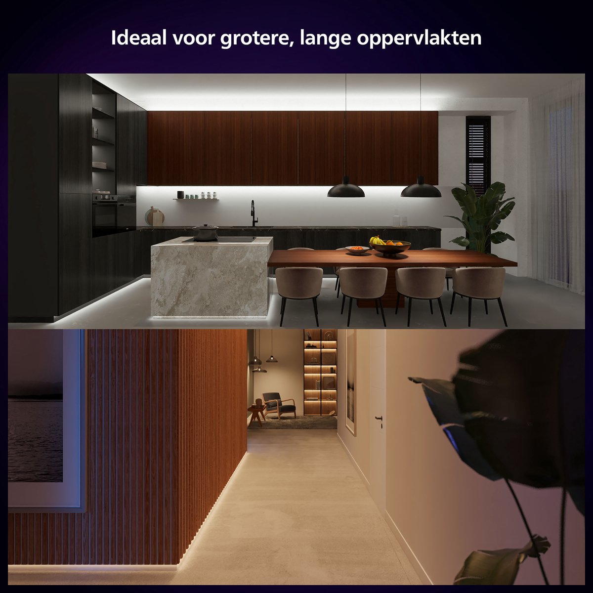 Philips Hue Solo led strip - wit en gekleurd licht - 5m — afbeelding 6
