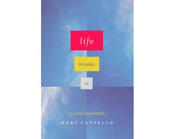 Omslag van Life Breaks In