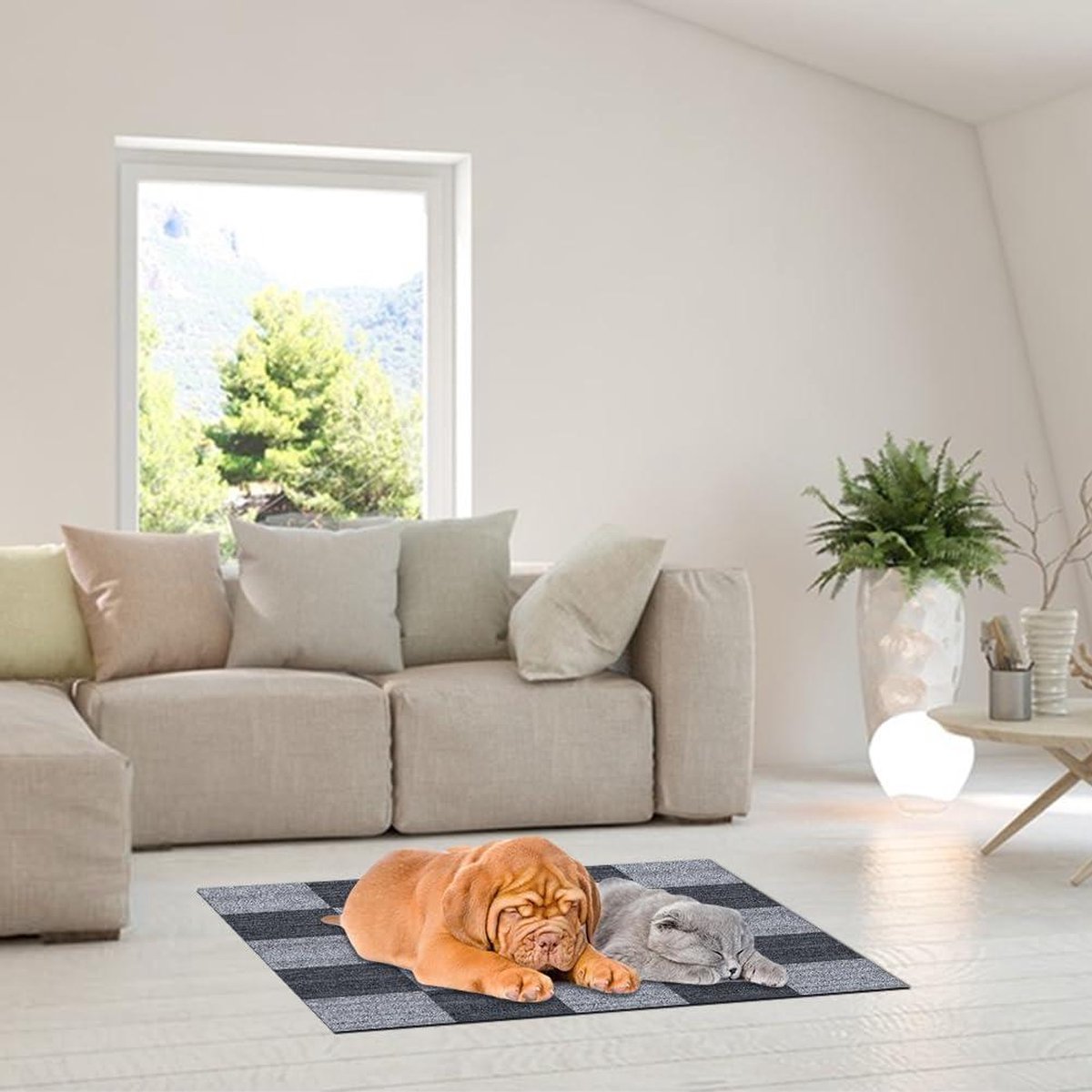 Tapijt vloer kopen | Comfortabele vloer | M2 Vloeren
