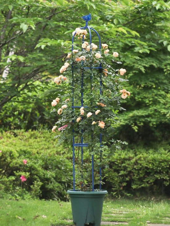 Obelisk Trellis Voor Klimplanten Buiten 6ft, Tuintoren Trellis Voor Potplanten Binnen Met Twist Tie 100 Nieuw
