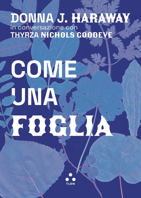 Numeri primi - Come una foglia - cover