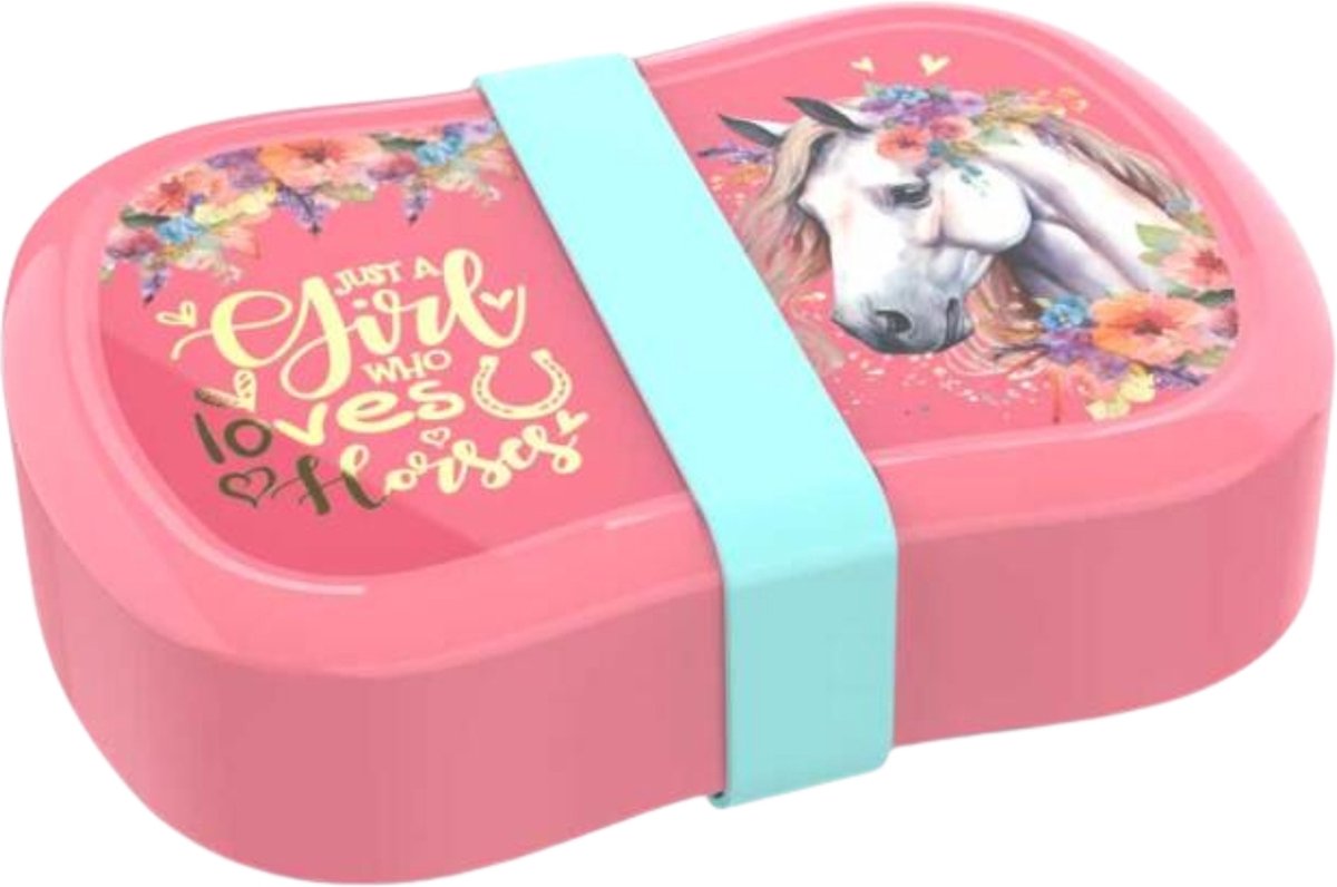 Goedkoopste Paarden Lunchbox