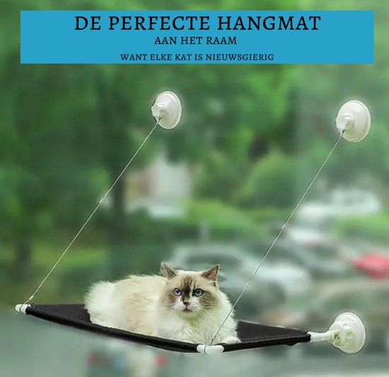Dennenhout
